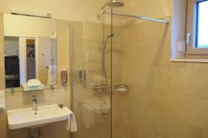 a bathroom with a shower and a sink and a shower at Mattone Aparthotel in Lanzenkirchen +52 photos