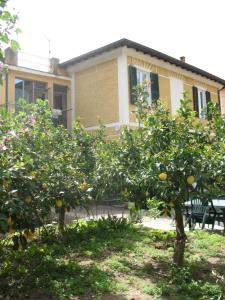 un gruppo di aranci di fronte a una casa di Affittacamere Antonella a Monterosso al Mare