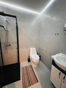 a bathroom with a shower and a toilet and a sink at Sevan Resort No5 in Chʼkalovka +18 photos