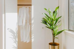 a plant in a pot in a bathroom with a robe at Private Blufftop Oceanview Hot Tub Fire Pit in Port Angeles
