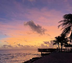 a beach with a pier and palm trees at sunset at Ohotu Lodge in Rangiroa