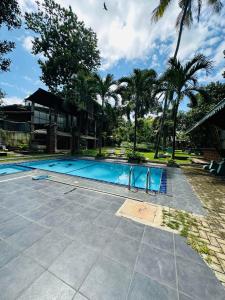 a swimming pool in a yard with palm trees at City Hub Transit in Katunayaka