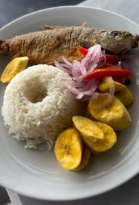 a plate of food with rice and meat and vegetables at Indiana Lodge in Santa Clara