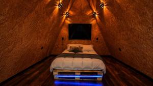 a bedroom with a bed with a tv on it at Chalé Queen in Brasília