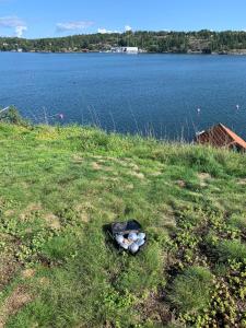 a pile of rocks in the grass next to a lake at Spectacular lake plot, Stockholm archipelago in Dalarö +46 photos