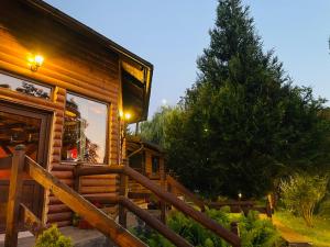 a log cabin with a staircase next to a tree at Pensiunea Ioana in Borşa