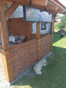 a white dog laying in the grass under a building at Studio Apartman Treće Nebo in TrÅ¡iÄ‡