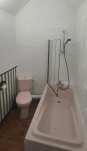 a bathroom with a toilet and a bath tub at Le Figuier , Domaine La Capitainerie in Bazoges-en-Pareds +9 photos