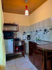 a kitchen with a sink and a counter top at Cabinas Arenal Z-13 in Fortuna