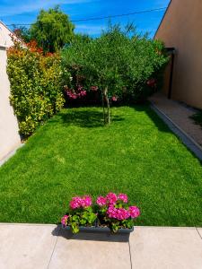 a flower pot with pink flowers in a yard at Gîte Le Jasmin in Le Thor