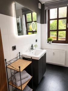 a bathroom with a sink and a mirror at Ferienwohnungen an der alten Stadtmauer in Blankenburg +53 photos