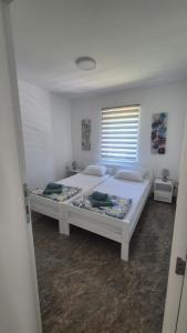 two twin beds in a bedroom with a window at Silver Rose apartman in Veliko Gradište