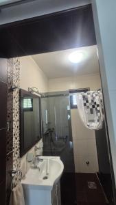 a bathroom with a sink and a mirror and a shower at Silver Rose apartman in Veliko Gradište +19 photos