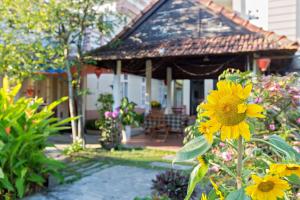 Zahrada ubytování Do River Homestay