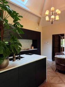 a kitchen with black cabinets and a potted plant at Berg en Bos Suite met luxe jacuzzi in Apeldoorn +34 photos
