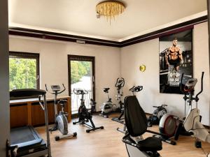 a gym with several exercise bikes in a room at Ambassador Hotel Eupen in Eupen