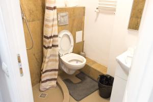 Un baño con inodoro y cortina de ducha. en Grand Central Accommodation - Smardan, en Bucarest