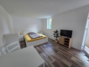 a small white room with a bed and a tv at Monteurswohnungen - Klein Wanzleben in Klein Wanzleben