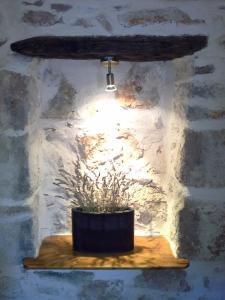 Fotografie z fotogalerie ubytování Hvar Architect's House v destinaci Pitve
