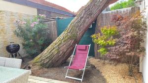 a tree with a pink chair and a fence at Villa Bagatelle, climatisée, à 250m de la plage centrale, 3 chambres in Arcachon