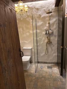 a bathroom with a shower and a toilet and a chandelier at Old town gem in Tallinn +4 photos