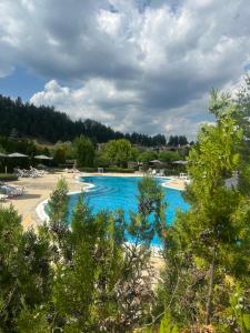 a large swimming pool with blue water and trees at Aspen Pirin View in Razlog +7 photos