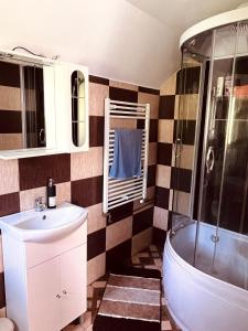 a bathroom with a sink and a shower at Casa Butunoi in Dămuc +14 photos
