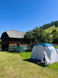 a tent in a field next to a barn at Casa Butunoi in Dămuc