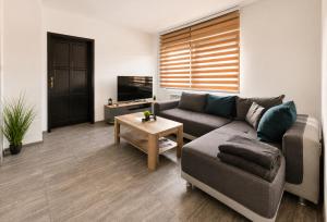 a living room with a couch and a table at Central No1-Apartments in Golubac