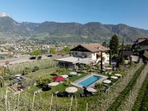 a villa in a vineyard with a swimming pool and a house at Premium Apartments Faselehof in Marlengo