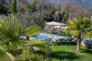 a pool with chairs and umbrellas and palm trees at Premium Apartments Faselehof in Marlengo