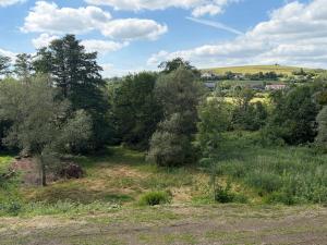 a field of trees and grass with a house in the background at Au fil de la Blies in Bliesbruck +4 photos