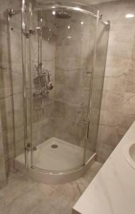 a shower with a glass door in a bathroom at Baltas beržas in Anykščiai