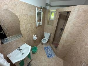 a bathroom with a toilet and a sink and a shower at Casa Yva Black Sea in Venus +57 photos