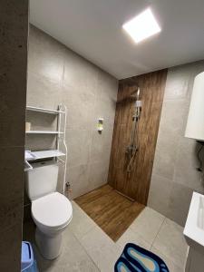 a bathroom with a shower with a toilet and a wooden door at Wald Haus in Pulʼmo