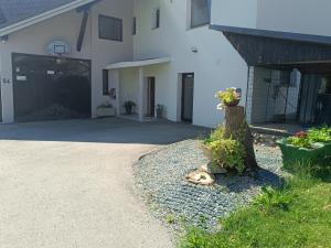 a building with a driveway and a door with flowers at Solea Apartment in Woditz