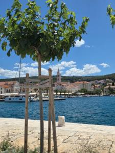 a tree sitting next to a body of water at Apartment CHARLY in Supetar