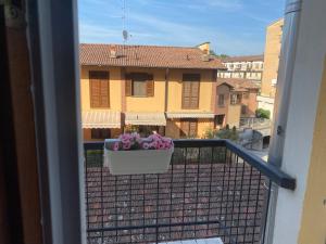 a balcony with a pot of flowers on a balcony at L'ora del tè in Cremona