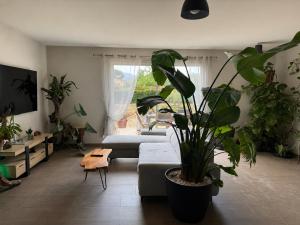 a living room with a couch and a potted plant at Ophidia in Foix