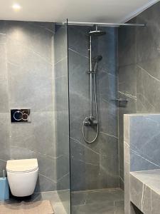 a bathroom with a shower and a toilet at Effies Apartments in Karlovasi +29 photos