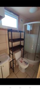 a bathroom with a toilet and a shower and a sink at Piętrowe DOMKI KLIF 5os,Duże tarasy Dzika plaża Łąka Bociek Szlaki rowerowe Pieski male 30zldzien in Debina