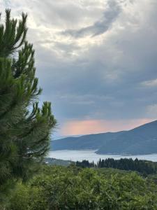 a view of a body of water with a tree at Safari Luštica in Luštica