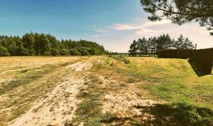 a dirt road in the middle of a field at Kupolinis namelis Miško Pašvaistėje in Balneliškiai