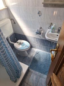 a bathroom with a toilet and a sink at Apartment Zorc in Trenta +22 photos