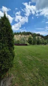 a hedge in a field with a hill in the background at Piatra Humorului in Mănăstirea Humorului