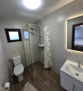a bathroom with a toilet and a shower and a sink at Piatra Humorului in Mănăstirea Humorului