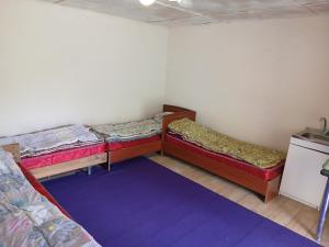 a room with two beds and a purple rug at Mary's Home in Korumdy +11 photos