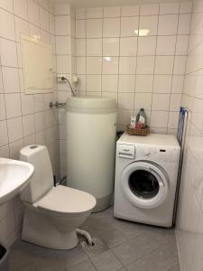 a bathroom with a toilet and a washing machine at Alpintunet Uvdal in Sønstebø +27 photos