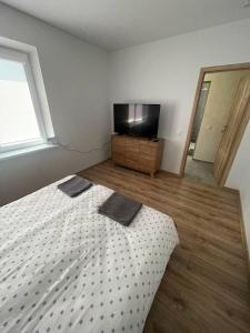 a bedroom with a bed and a flat screen tv at Pušų Sodas in Birštonas