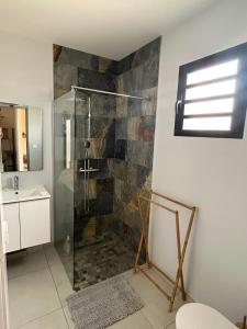 a bathroom with a shower and a sink at La Villa Bleu Lagon in Petite Île
